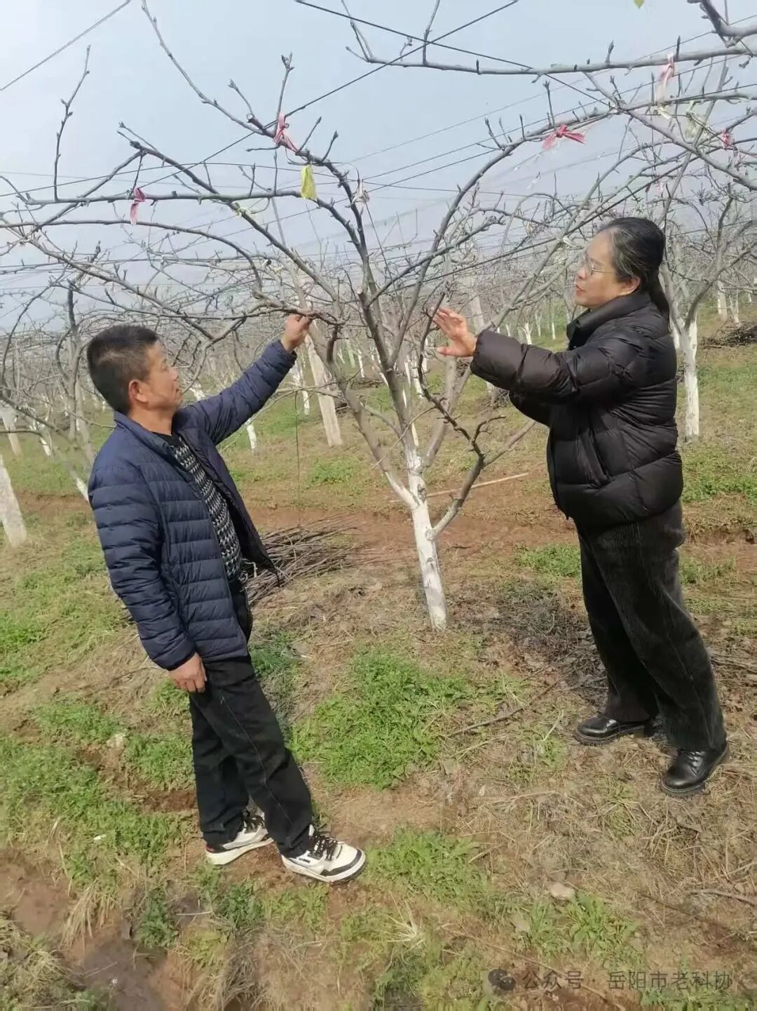 1-260112131913357.jpg 1-260112131913357.jpg